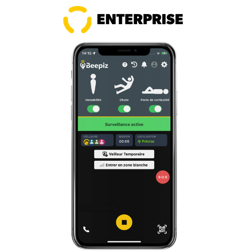Licence Enterprise