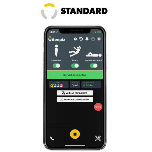 Licence Standard